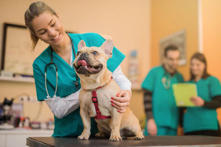 VETERINARIANS